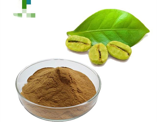 chlorogenic acid powder_