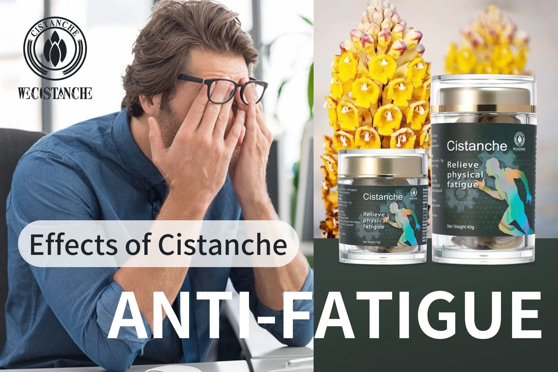 cistanche anti-fatigue cistanche anti-fatigue