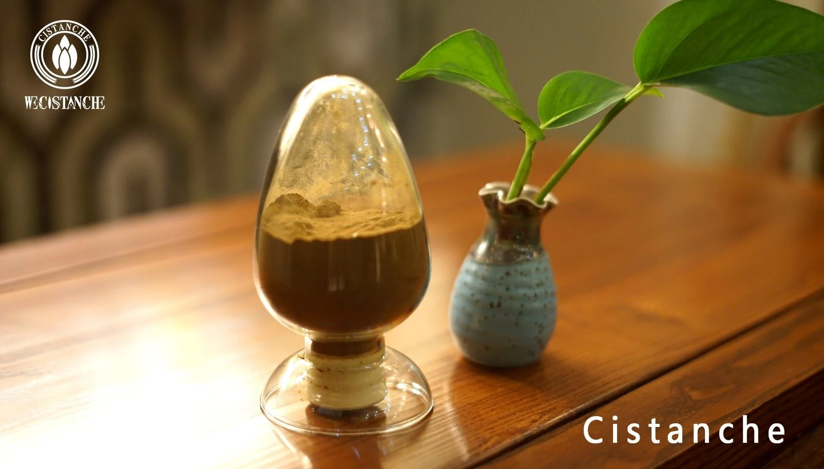 cistanche anti-fatigue cistanche anti-fatigue