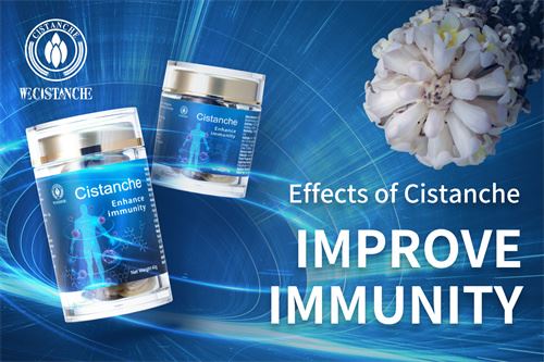 Cistanche improve immunity. Cistanche improve immunity.
