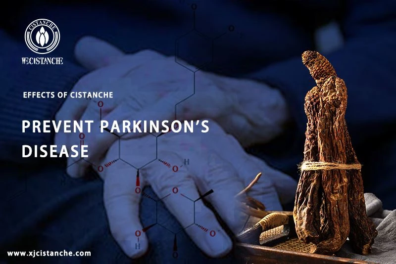 what can prevent parkinson's disease what can prevent parkinson's disease