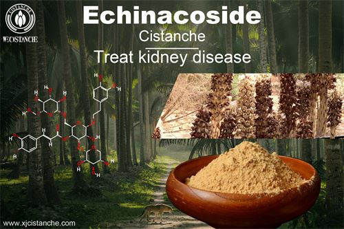 kidney injury and disease