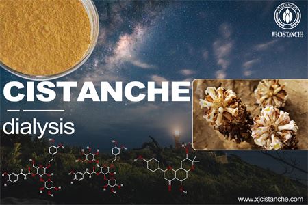 Cistanche-kidney dialysis-4(22) Cistanche-kidney dialysis-4(22)