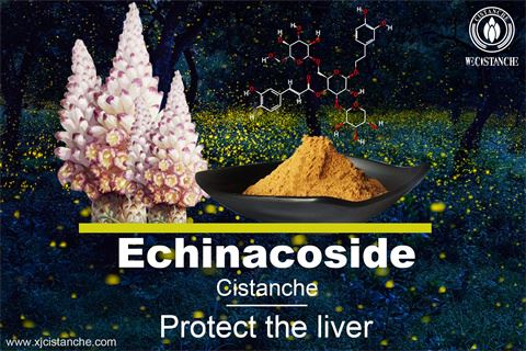 EFFECTS OF CISTANCHE EXTRACT