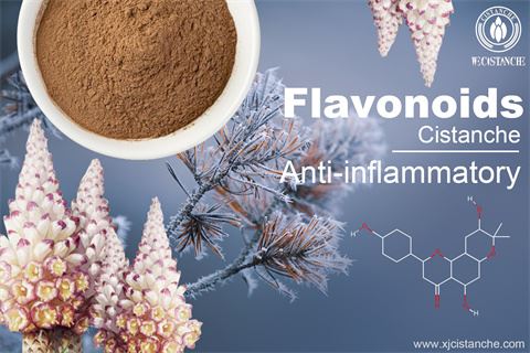 EFFECTS OF CISTANCHE