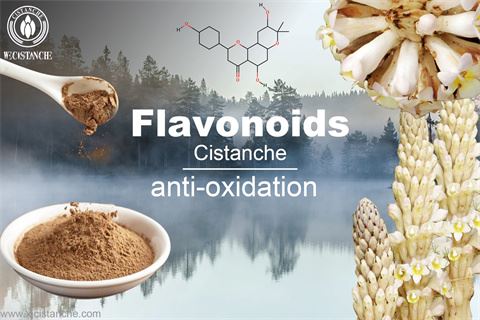 EFFECTS OF CISTANCHE EXTRACT