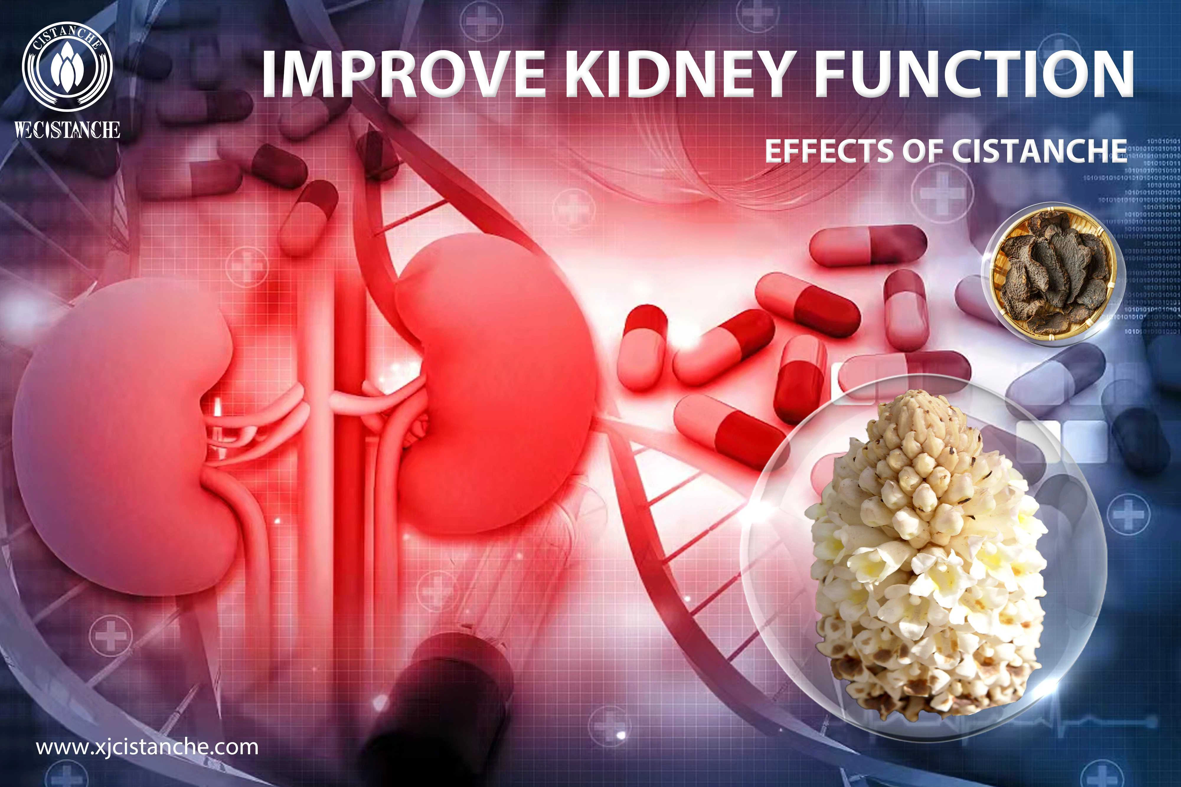 natural supplement for kidney