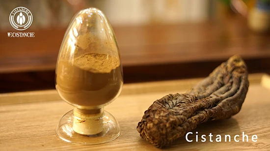 new research for cistanche benefits new research for cistanche benefits