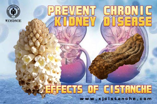 how to prevent chronic kidney disease