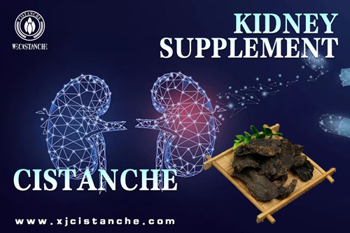 the best supplement for ckd