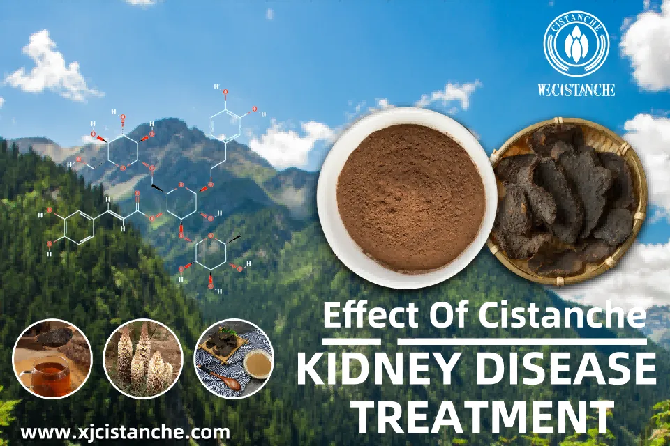 kidney disease treatment kidney disease treatment