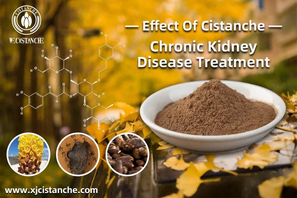 chronic kidney disease treatment chronic kidney disease treatment