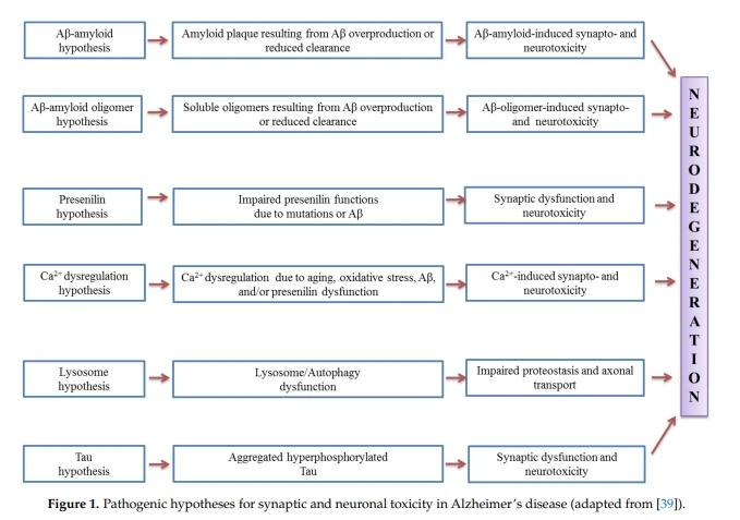 Pathogenic hypotheses for synaptic and neuronal toxicity in Alzheimer's disease Pathogenic hypotheses for synaptic and neuronal toxicity in Alzheimer's disease