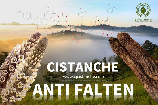 cistanche anti-aging