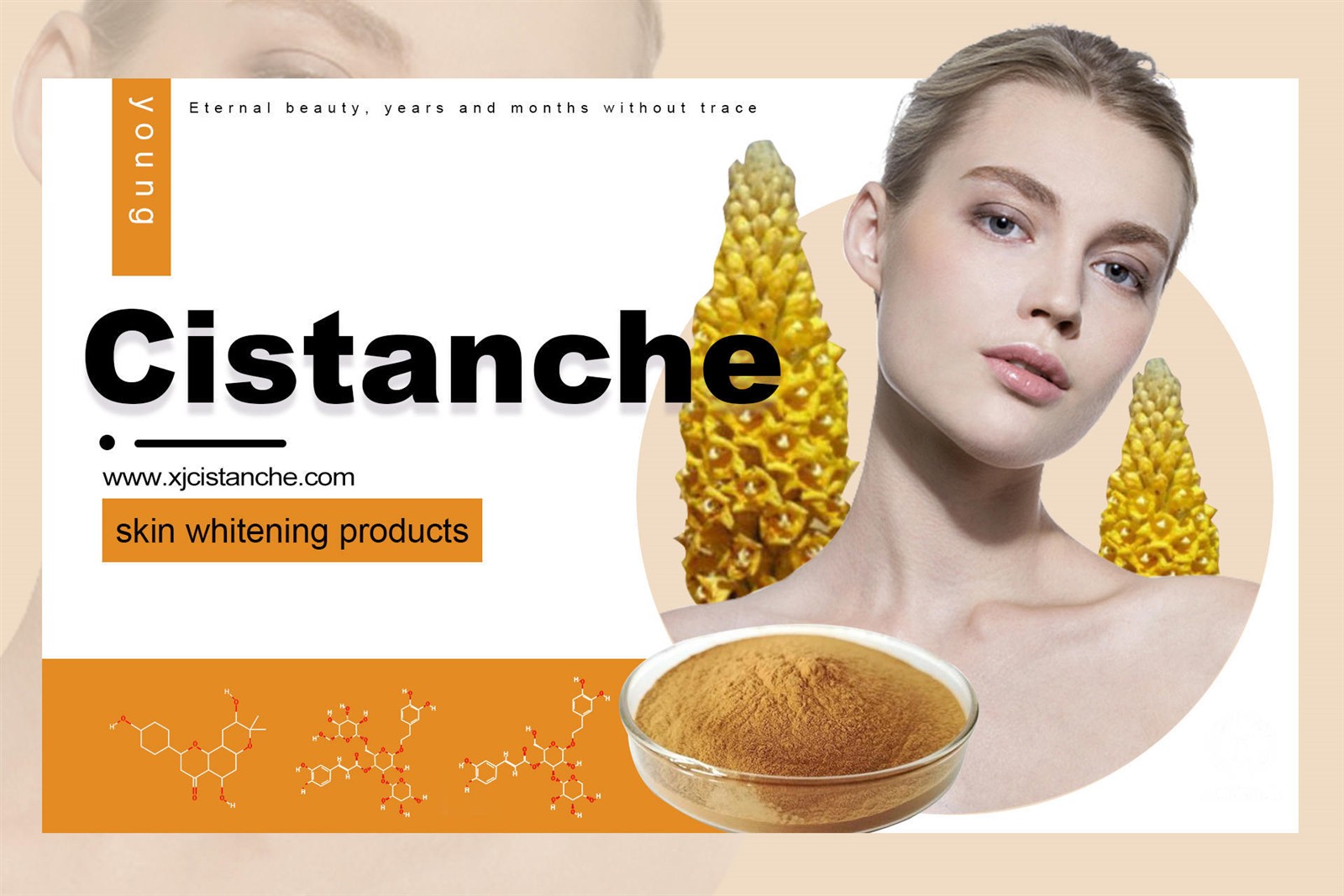 cistanche nutrilite