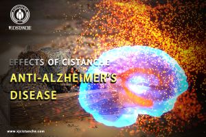 increase memory power increase memory power