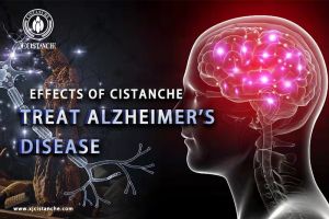 increase brain power increase brain power