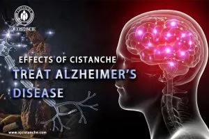 improve memory