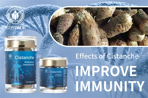 cistanche tubulosa for enhancing immunity cistanche tubulosa for enhancing immunity