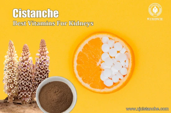 HERBAL CISTANCHE FOR KIDNEY FIBROSIS HERBAL CISTANCHE FOR KIDNEY FIBROSIS