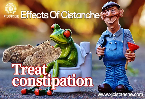 effects of cistanche-treat constipation (2)