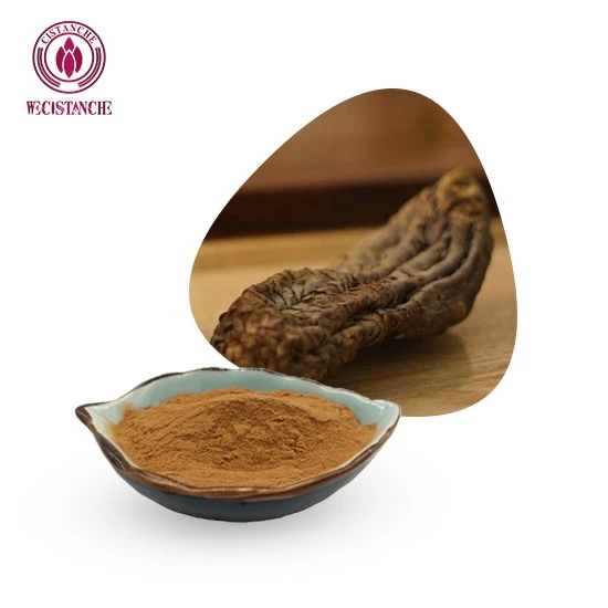 Порошок екстракту Cistanche Tubulosa