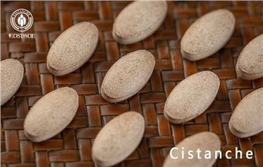 Покращення функції пам’яті Cistanche Tubulosa Supplement