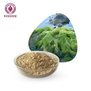 Порошок екстракту морських водоростей